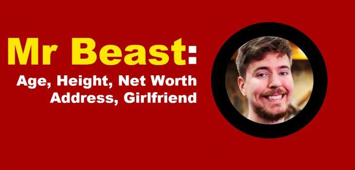 About Mr Beast