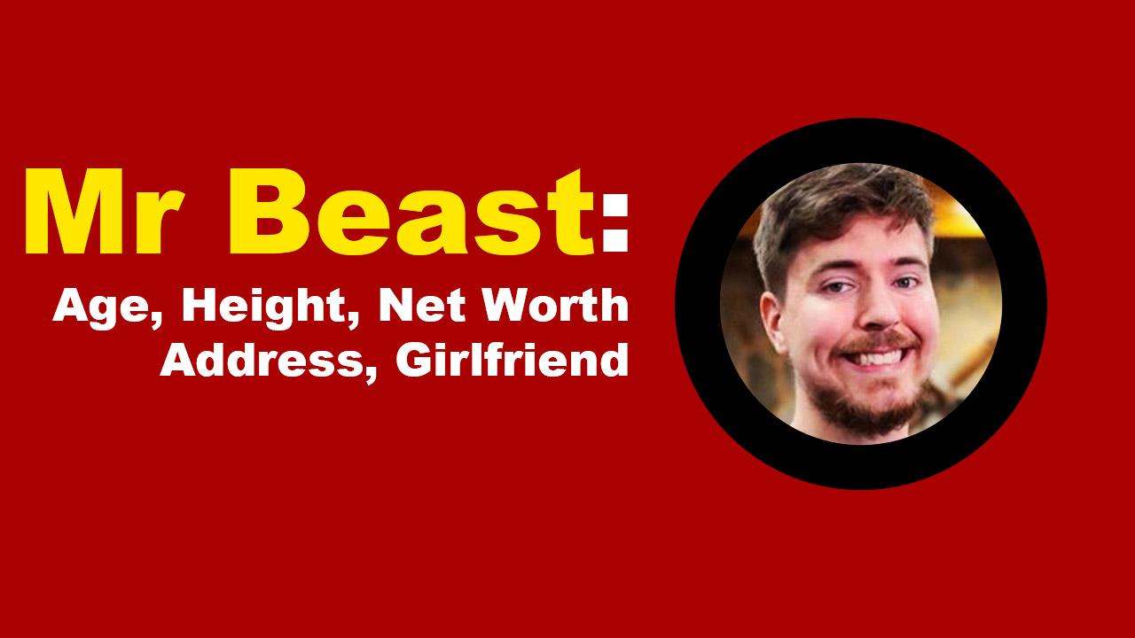 About Mr Beast
