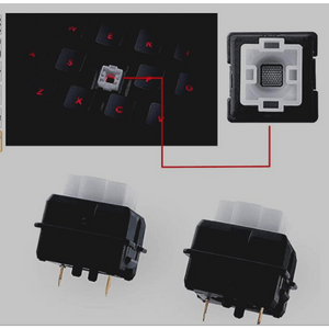 Durable Romer G switches